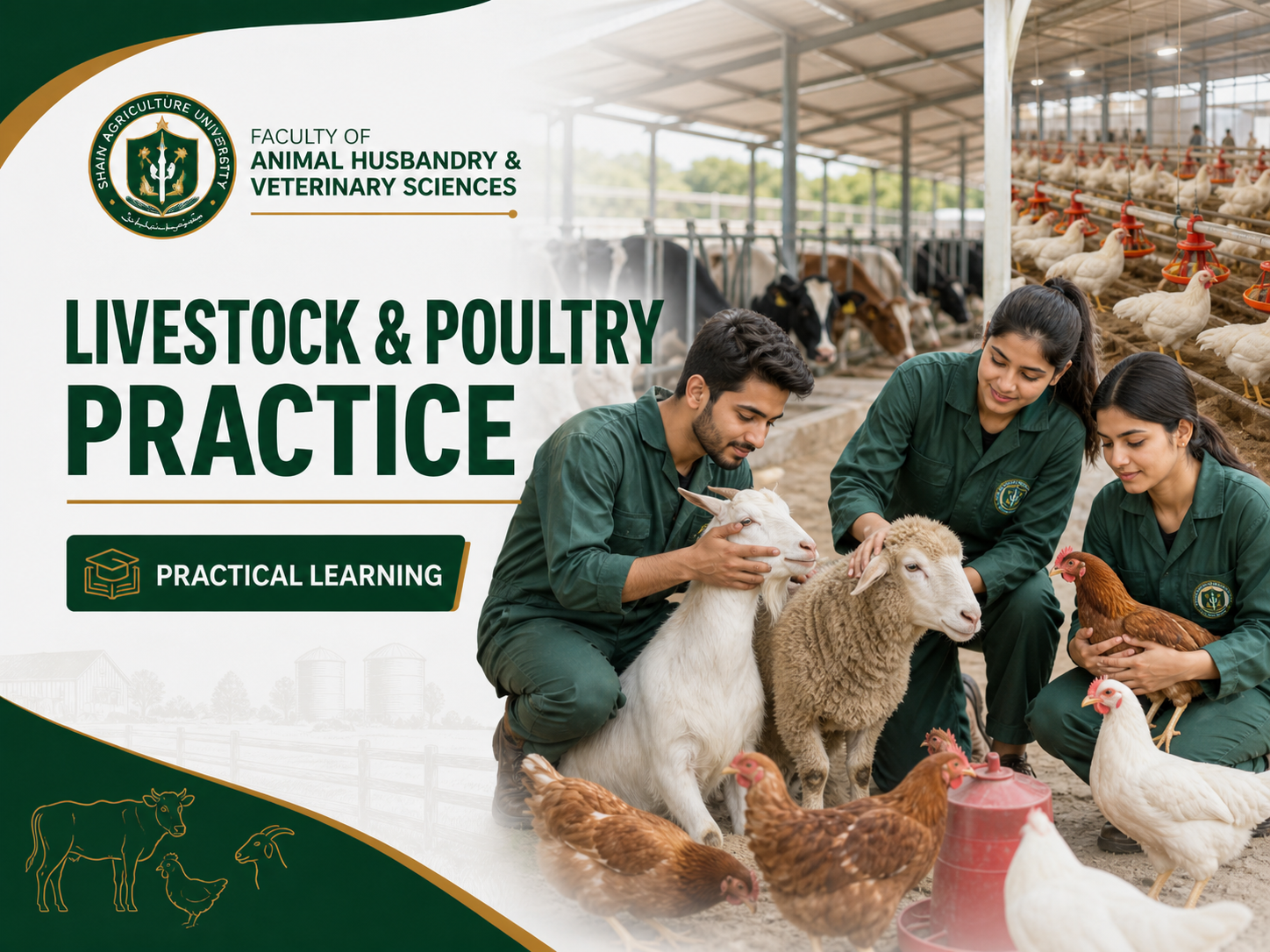 Livestock and Poultry Practice