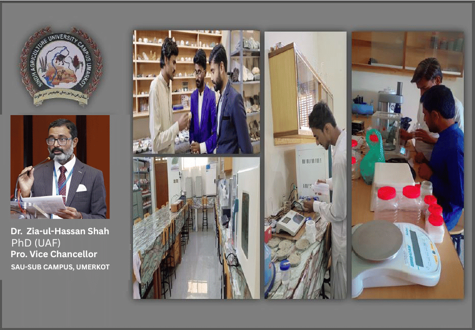 SAB Campus Umerkot