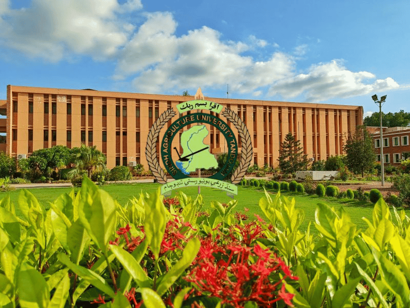 SAU